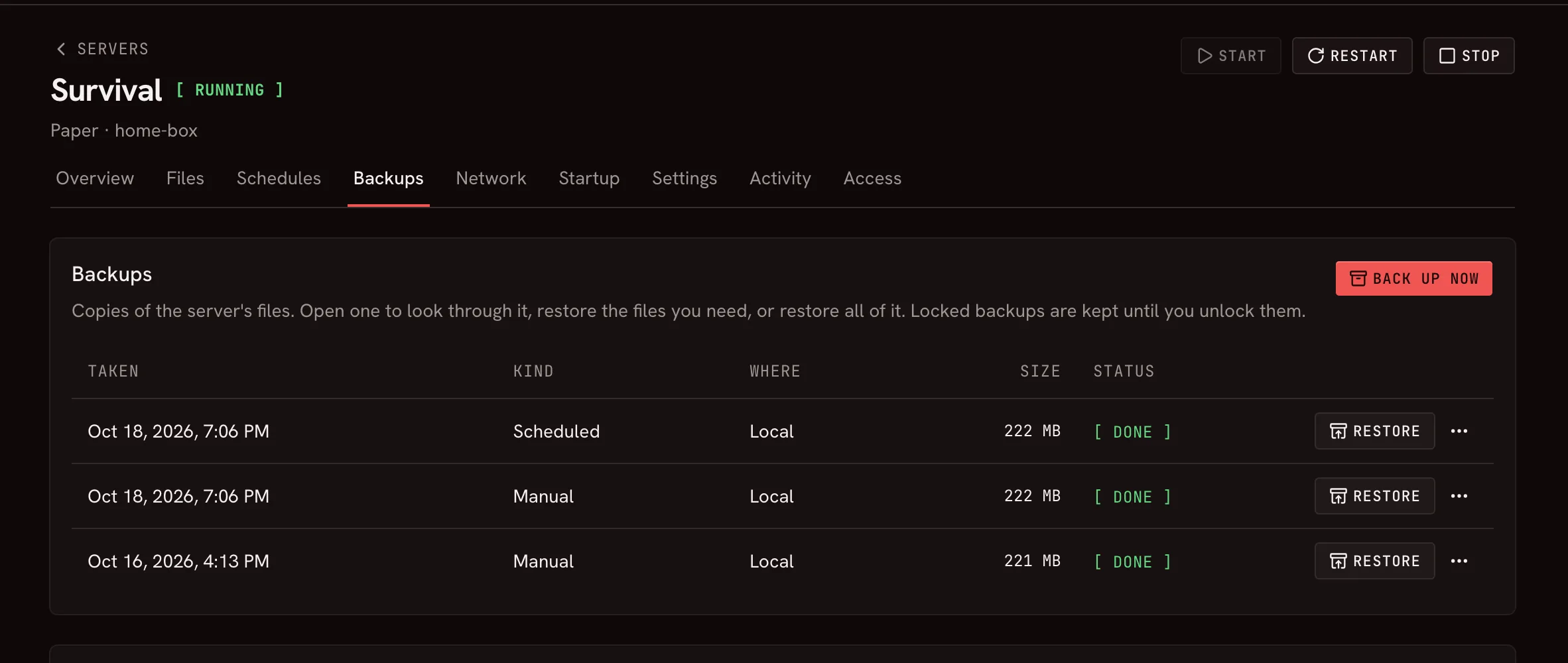 A server's backups in Raptor: each backup with when it was taken, where it is, and its size