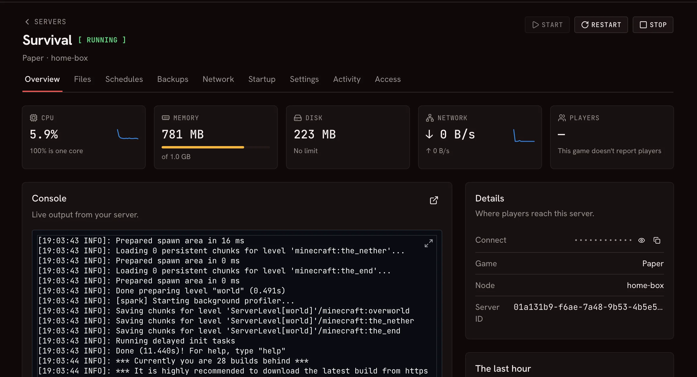 A Minecraft server's page in Raptor: running, its CPU, memory, disk, and network, and its live console